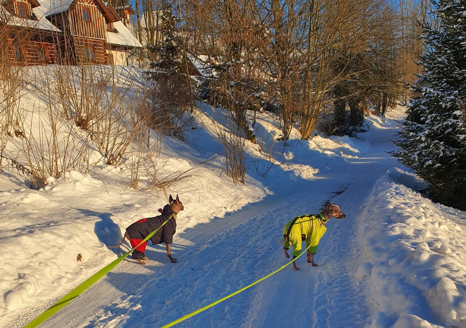 Kdyby nám nemrzly tlapky, šli bychom i dál ... :-) Po rovníku by to bylo lepší. 