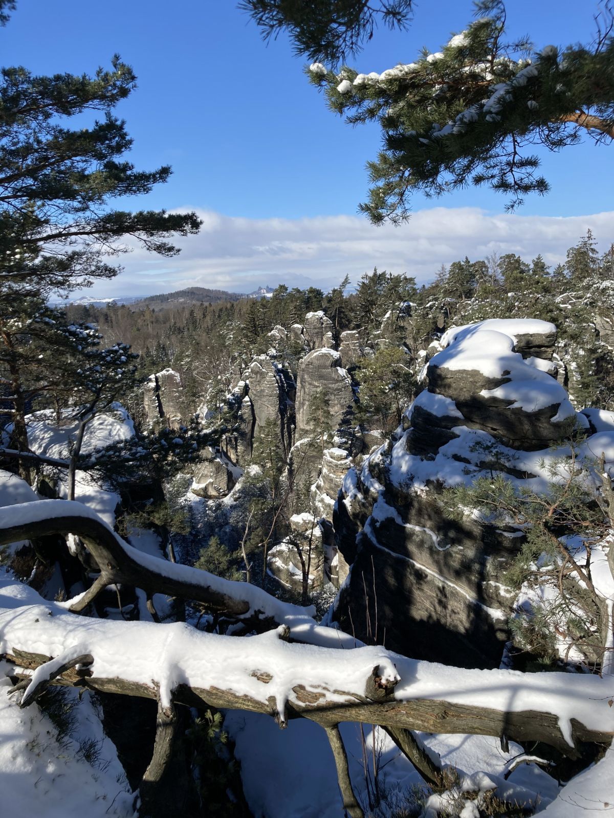 Z Vyhlídky míru v Prachovských skalách