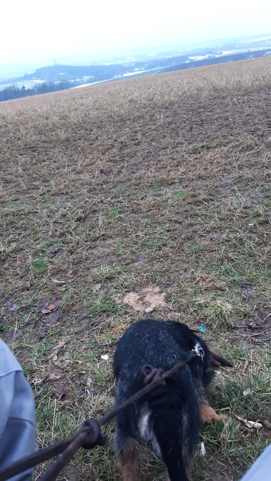 Celé jsem to prošel s naším psem Filoménou, a v holínkách.