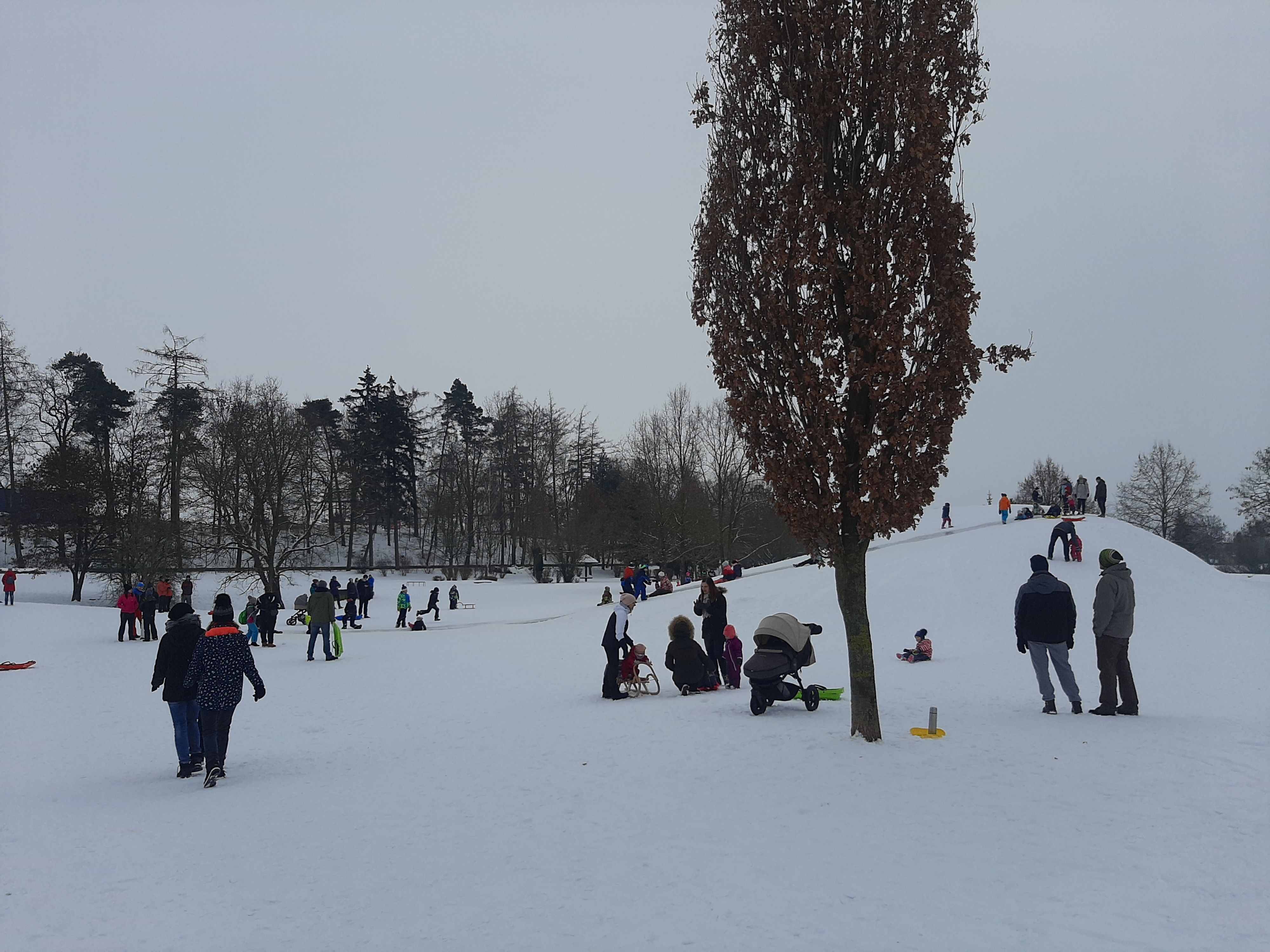 Bobování u Šibeňáku