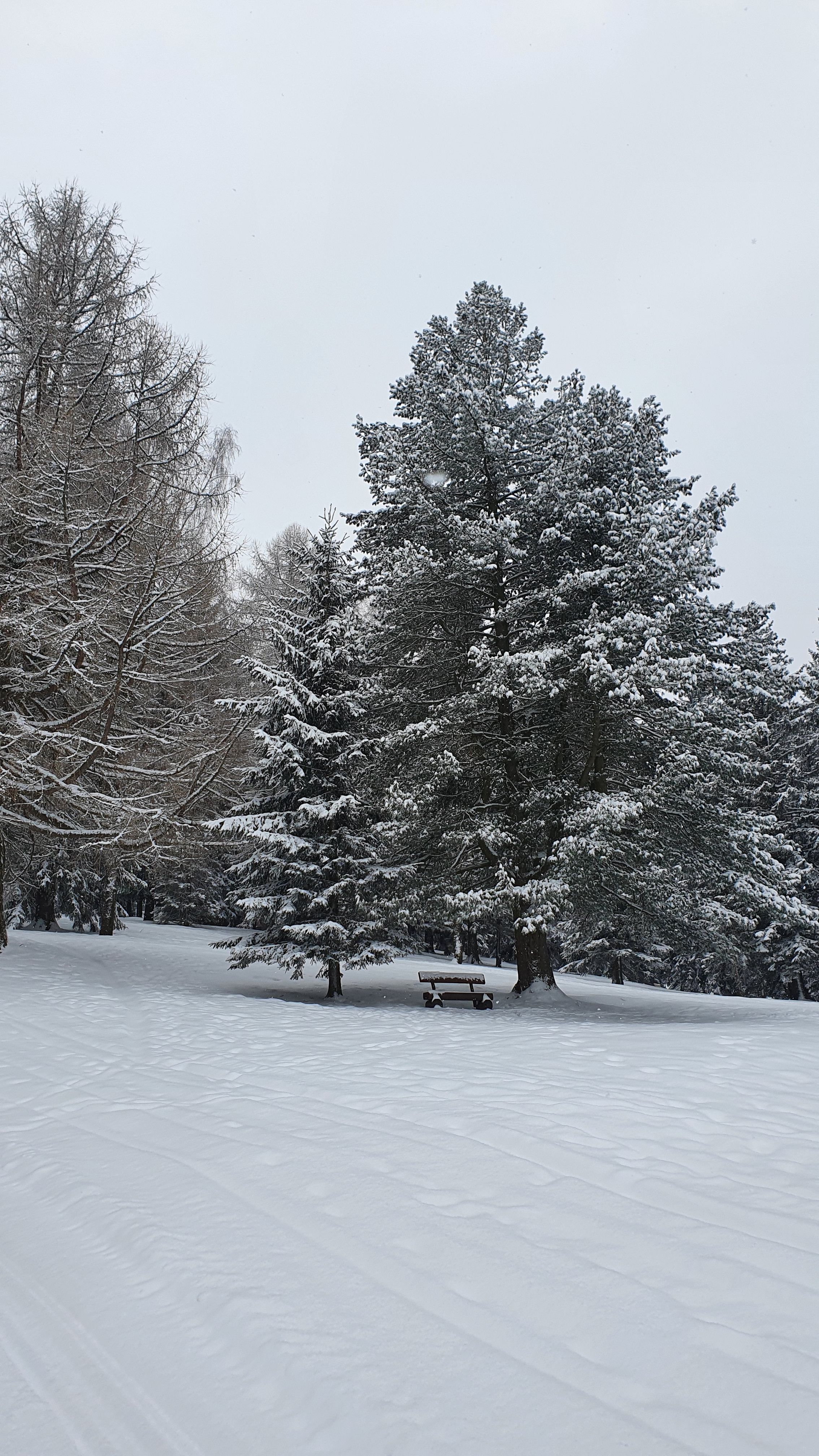 Fotka byla vyfocena na běžecké trati ve Vítkovicích. Ušli jsme toho i víc než je na mapě, a protože se mi vybil telefon, tak toho víc není, ale nevadí no. Snad příště:)