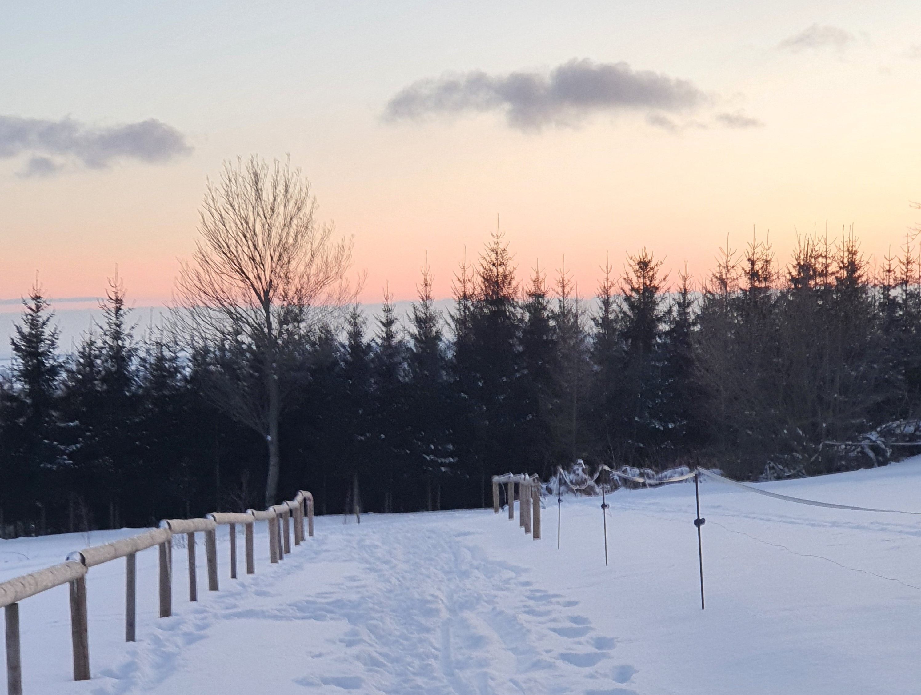 Většinou chodím se psem, ale tentokrát by to v těch mrazech nedal. :-) 